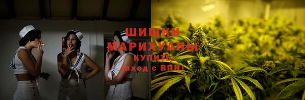 трава Новокубанск