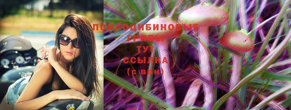 гашик Абинск
