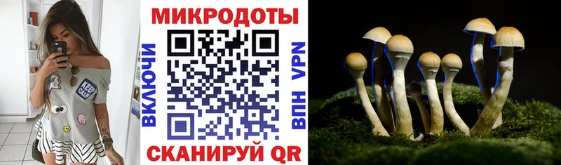 Галлюциногенные грибы прущие грибы  МЕГА вход  Красновишерск  shop официальный сайт  как найти наркотики 